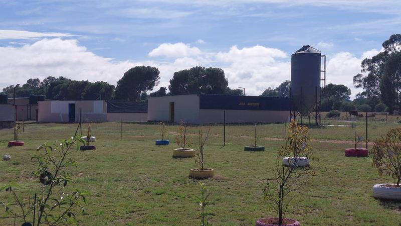 6 Bedroom Property for Sale in Ferreira Free State